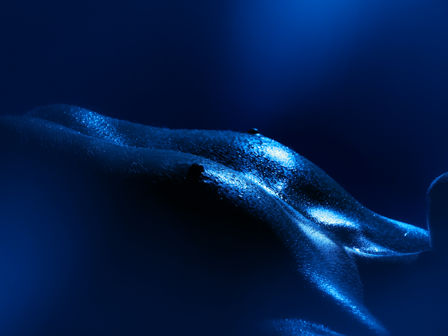 Gallerie "wet wet wet"
